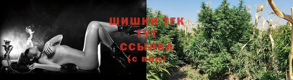 СК Ладушкин
