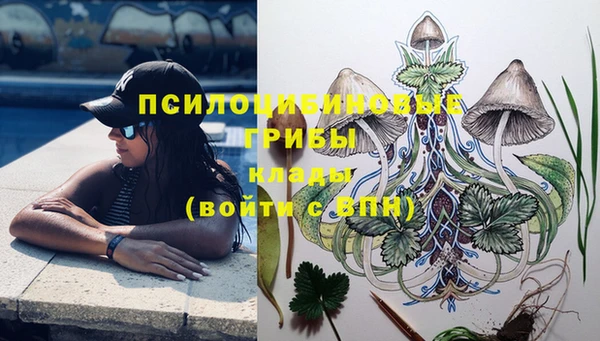 метадон Лабытнанги