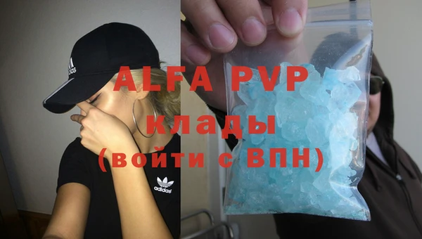 СК Ладушкин