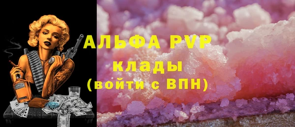 СК Ладушкин