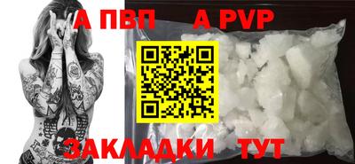 прущие грибы Камышлов