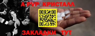 прущие грибы Камышлов