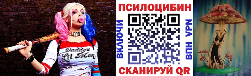 kraken зеркало  Топки  Псилоцибиновые грибы GOLDEN TEACHER  где можно купить  