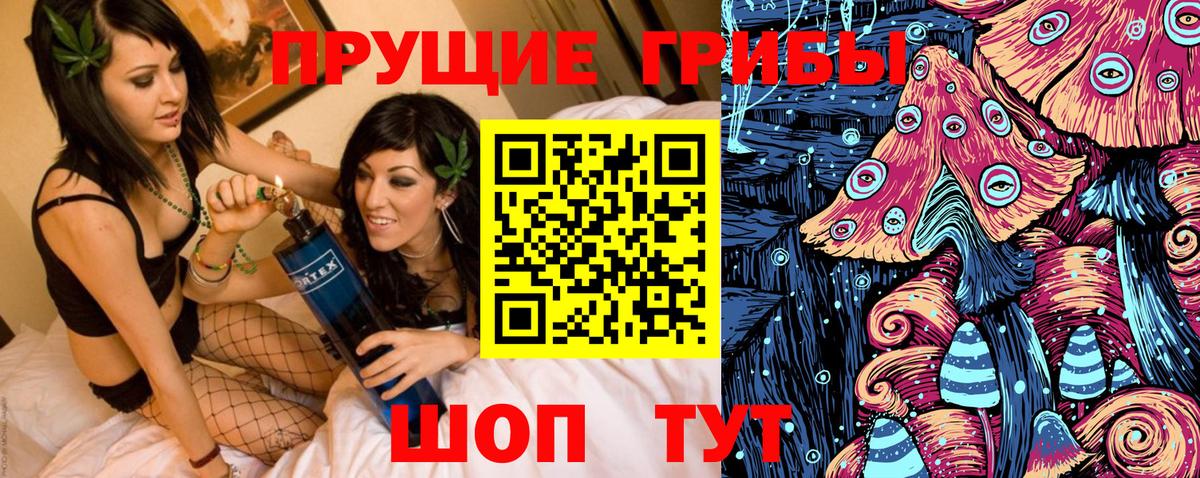 Галлюциногенные грибы MAGIC MUSHROOMS  магазин    Топки  Галлюциногенные грибы GOLDEN TEACHER 